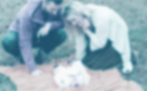 �װ��İְ����������̰�4ƪ(����)