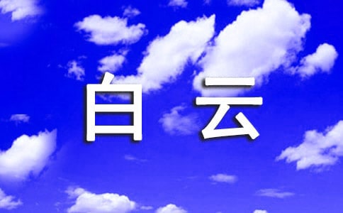 广州白云区民办中小学招生工作方案