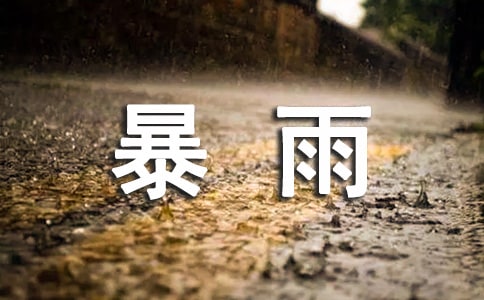 �������֪ͨ 10ƪ