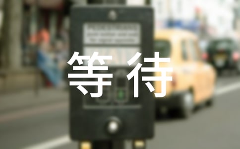 中班社会《学会等待》教案