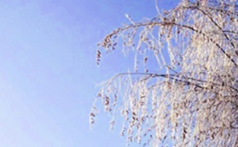 �����ϵĶ��졷����̰����