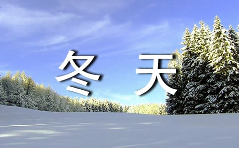 �����ϵĶ��졷�̰�