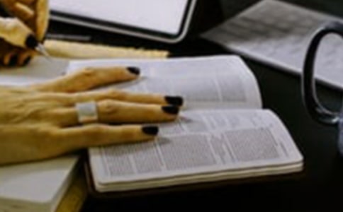 ��һ���ر�̰��������