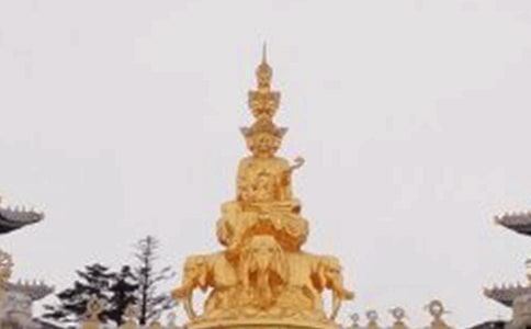 ����üɽ�¸衷��ѧ���5ƪ