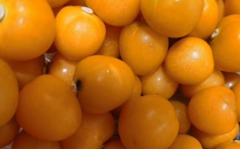 《番茄太阳》教案15篇