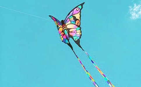 ��ࡶ���ݡ��̰�