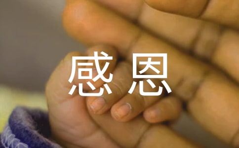 感恩的心主题的班会策划书