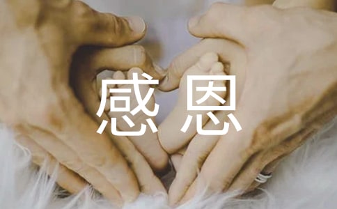 感恩母亲班会策划书