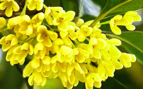 �𻨽�ѧ��˼
