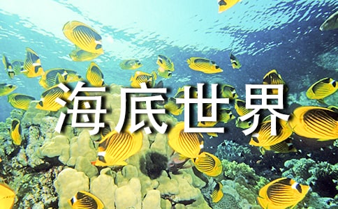 ���������硷��ѧ��˼[����]