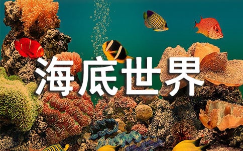 ���������硷��ѧ��˼(��)