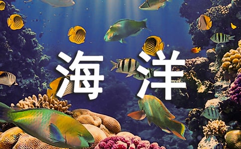 ���纣���ջ�߻���