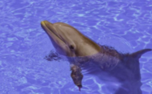 ������˽�ѧ��ƽ̰���ѧ�̰����S�����꼶�²Ἧ��