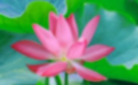[����]���ɻ������̰�����4ƪ