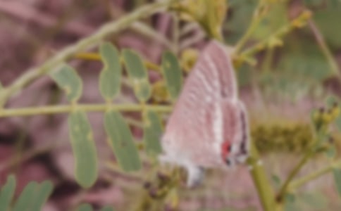 �а��ǰ��Ϸ������ѽ�̰�