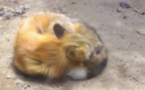 ���š��������ѻ�̰�