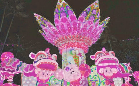 《数花灯》教案
