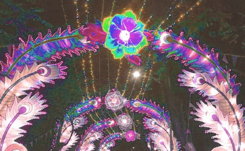 大班看花灯教案