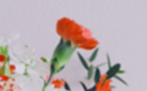 ��໨��̰�