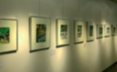 �黭չ�������뺯
