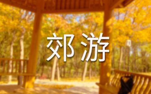 去郊游教案及反思