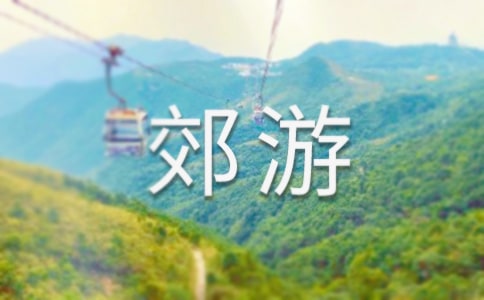 去郊游教案