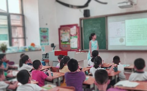 小毛虫教学反思(精选3篇)