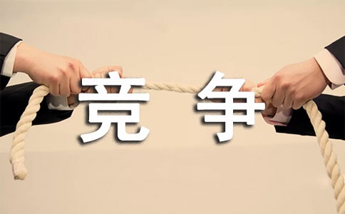 �����鱨�ֻṤ���ܽ�