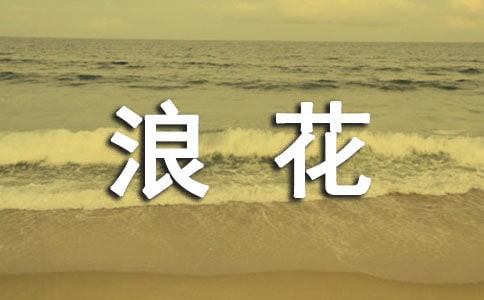 《看浪花》教学反思
