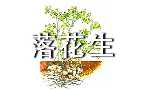 ���仨������ѧ��˼