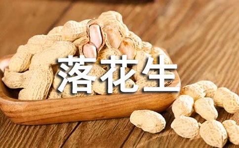 ���仨�����̰����ȡ�