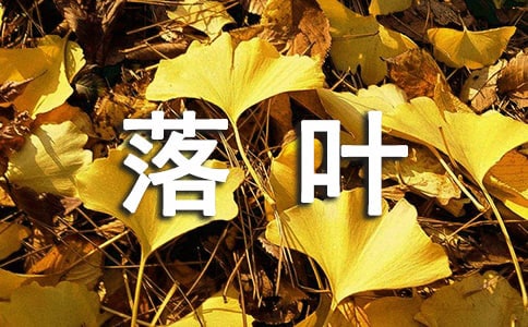����Ҷ���̰�15ƪ