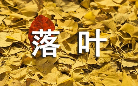 ʰ��Ҷ�а�̰�