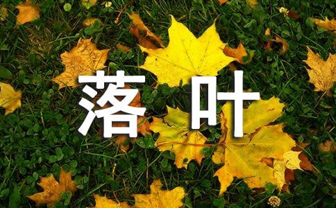 ����ѧ����̰�������������Ҷ����