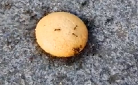 ���ϵľ�����ѧ��˼���ģ���ѡ3ƪ��