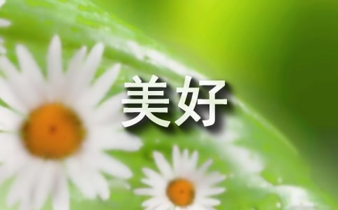 ��̼�����������