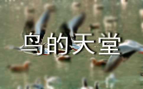 鸟的天堂教学反思