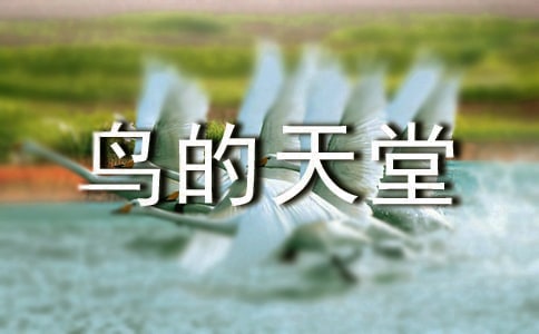 ���Ƽ�����������á���ѧ��˼