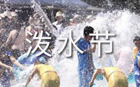 《难忘的泼水节》二年级语文教学反思通用
