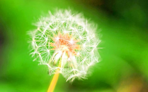 �ѹ�Ӣ���ν�ѧ��˼(15ƪ)