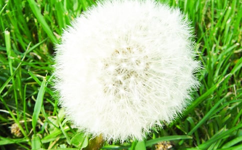 �ѹ�Ӣ�̰�(����15ƪ)