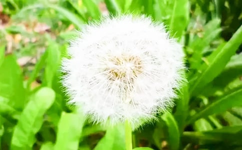 �а������ѹ�Ӣ�̰�