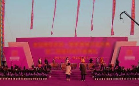��˾������뺯������15ƪ��