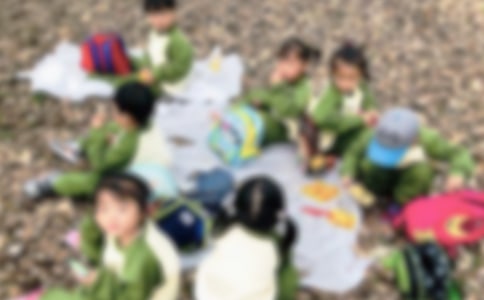 �����������ε����뺯