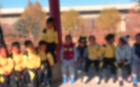 �а���ѧ�����̰������μƻ���̰�����˼
