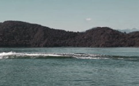 《日月潭》教案(15篇)