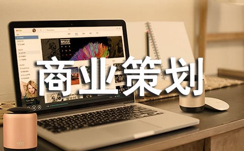 【推荐】商业策划书