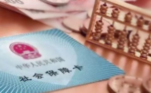 �������籣�α�ָ��