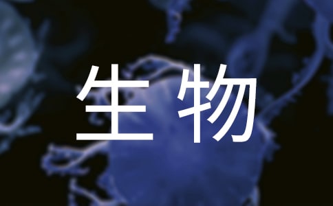 ��һ�����ѧ�ƻ�15ƪ