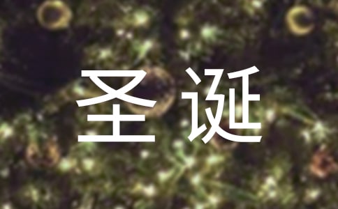 ��˾ʥ�������뺯